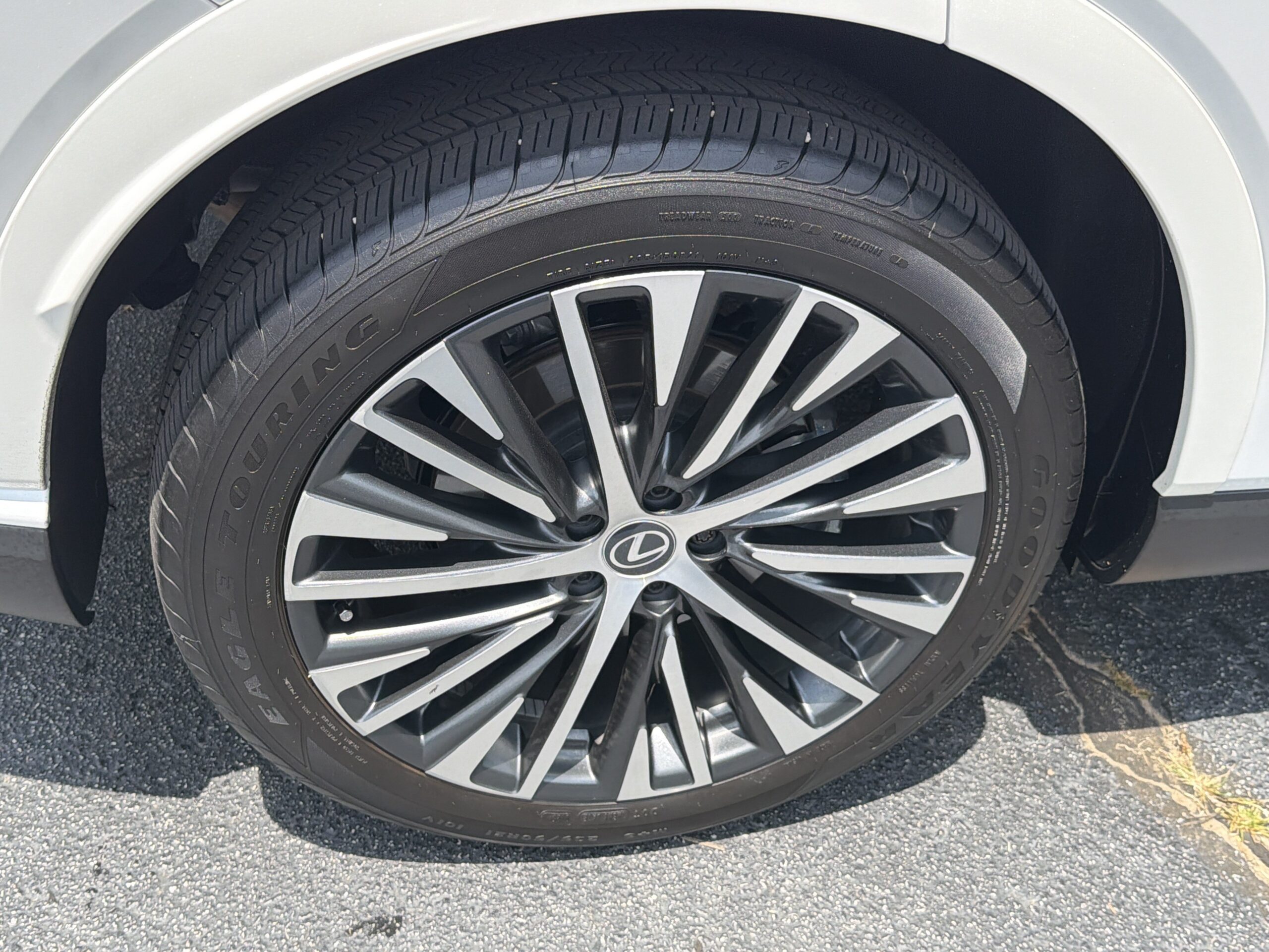 2025 Lexus RX