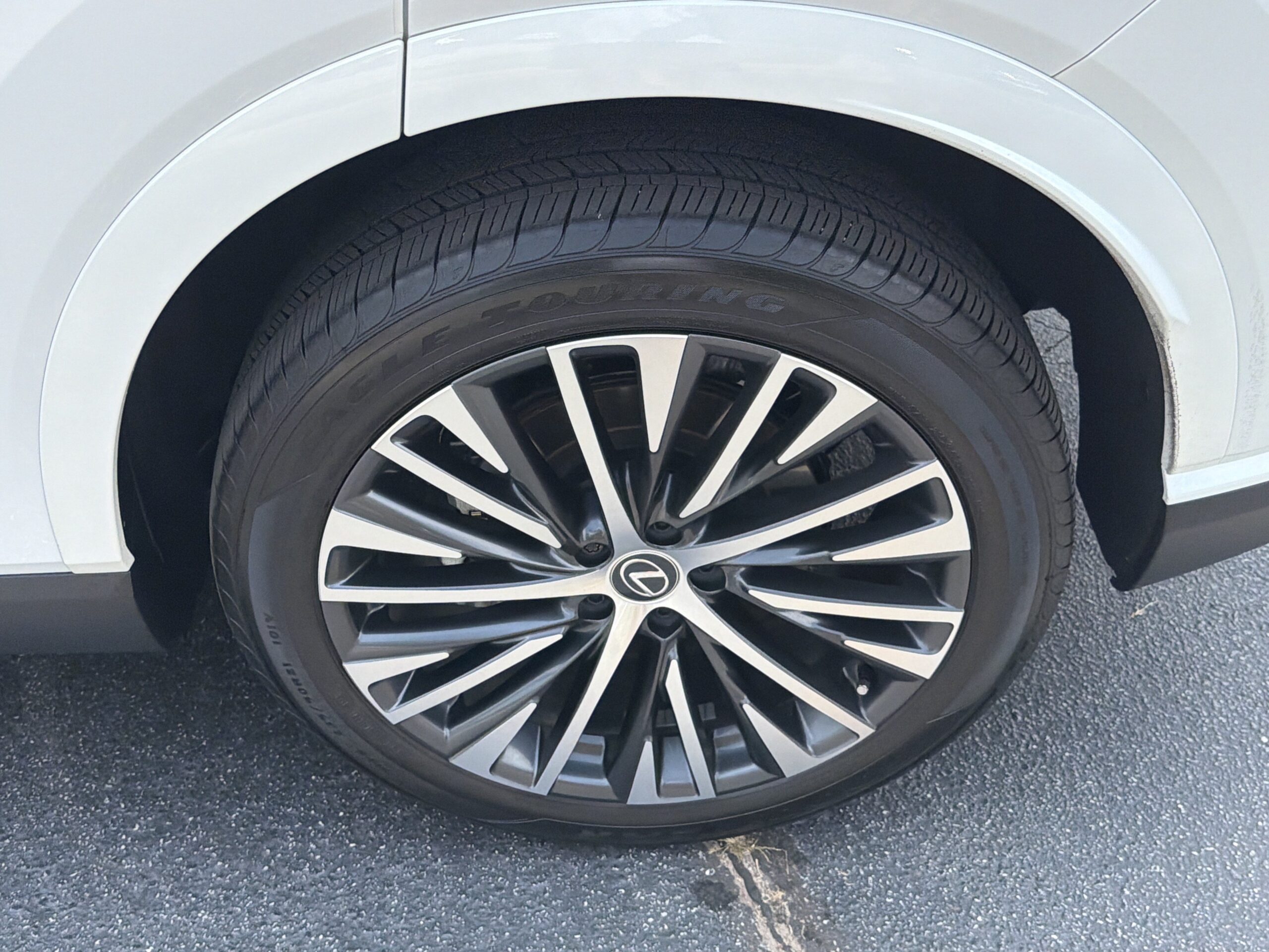 2025 Lexus RX